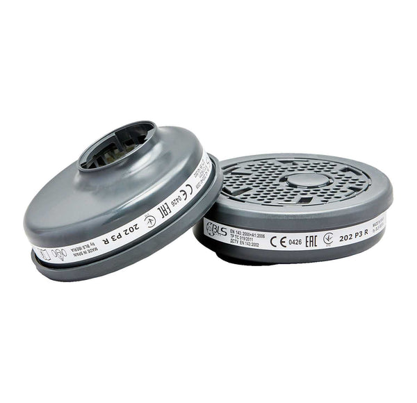BLS202 P3 — Logica Professional