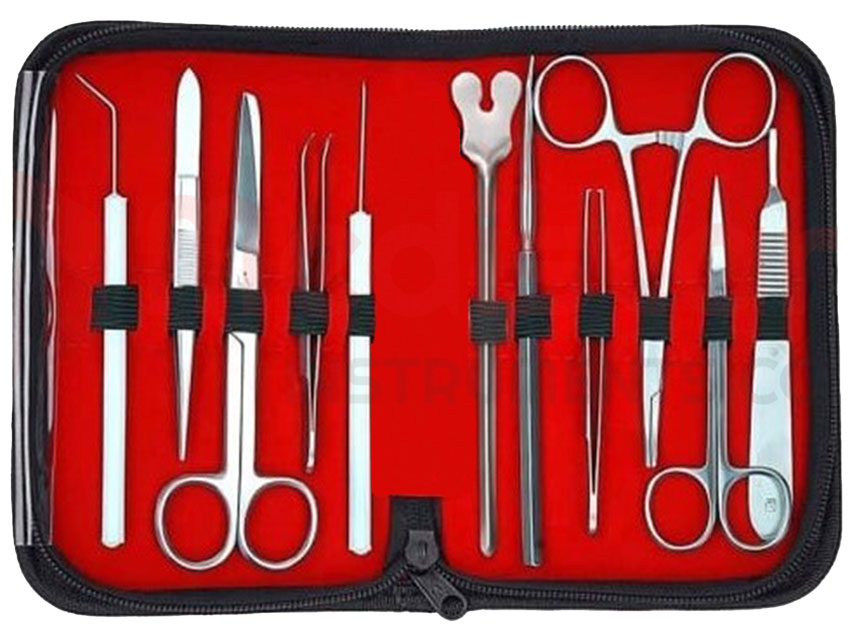 Kit Dissezione in Acciaio Inox Aisi 202 per Esercitazione 11 Pezzi