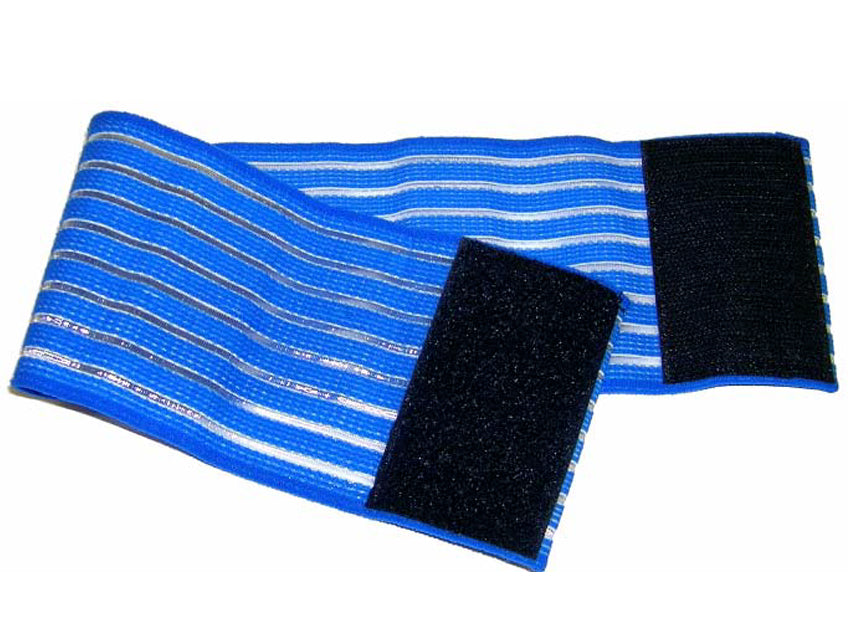 Fascia Elastica