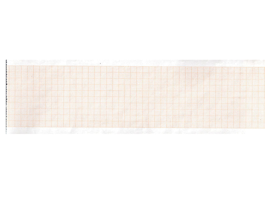 Carta Termica Ecg 63X30 Mmxm - Conf. 20 pz.