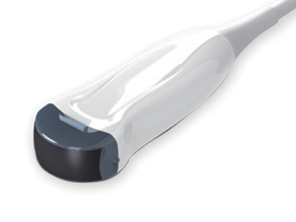 Sonda Micro Convex per Ecografo