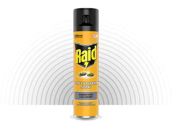 Raid Spray Vespe&Calabroni