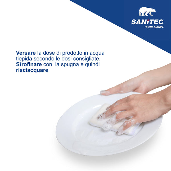 Sanitec 1240 Washup - Detergente Liquido Stoviglie Professionale - Tanica da 5L