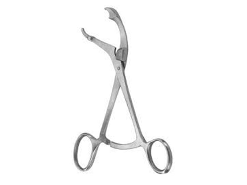Pinza Ossa Verbruge