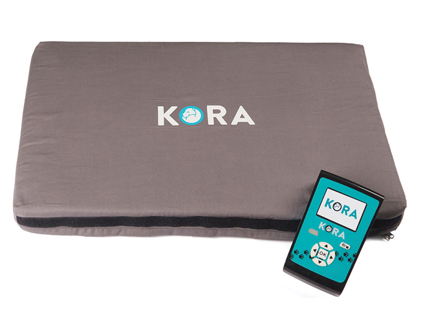 Magnetoterapia Veterinaria Kora Kit Base