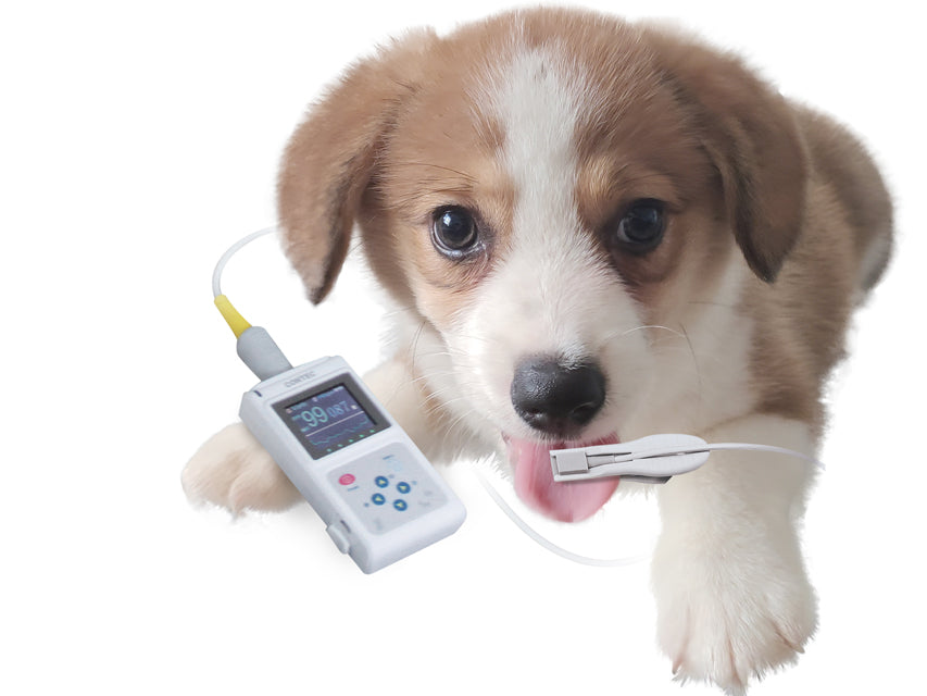 Pulsossimetro Veterinario Oxy 50 _a