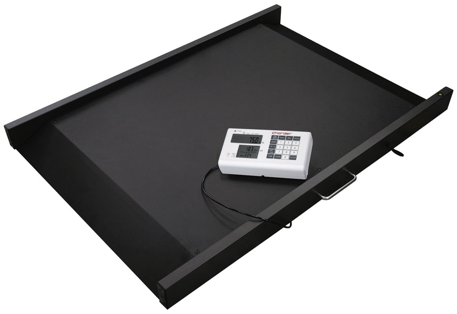 Bilancia Piattaforma Digitale 300Kg