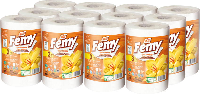 Bobina Professionale FSCFEMY 3 Veli Certificata FSC - 208 Strappi Center Pull - 12 Rotoli Imbustati