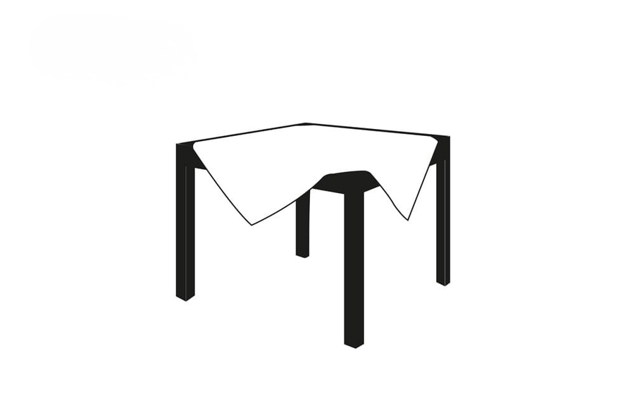 Coprimacchia TNT 100x100 cm - cartone 250 pz (steso) / 100 pz (piegato) - tessuto non tessuto