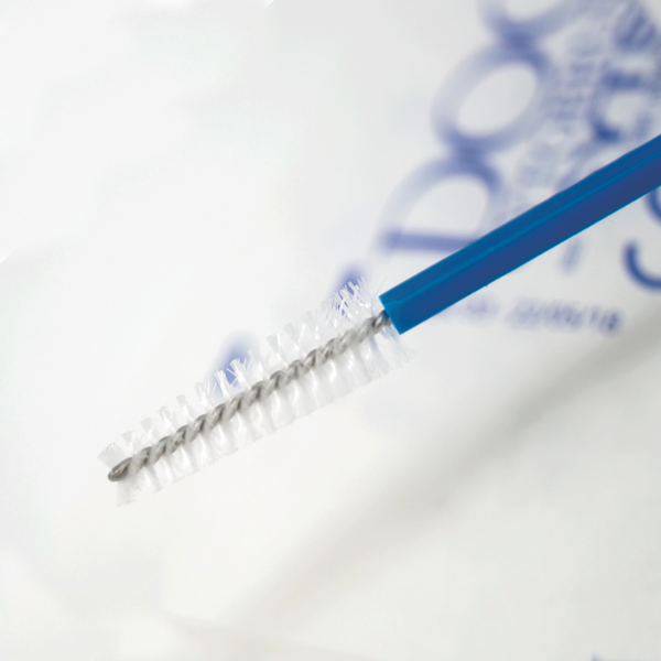 Cytobrush Spazzolini Monouso Sterili CYTST | Gardening | 1000 pz (4 box da 250)