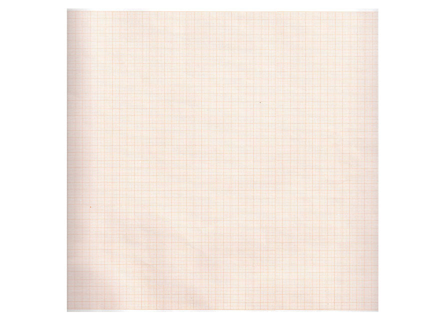Carta Termica ECG 210x30 Mmxm - Rotolo Griglia Arancio - Conf. 5 pz.