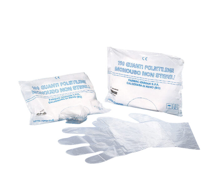 Guanti Polietilene blister 100 pz
