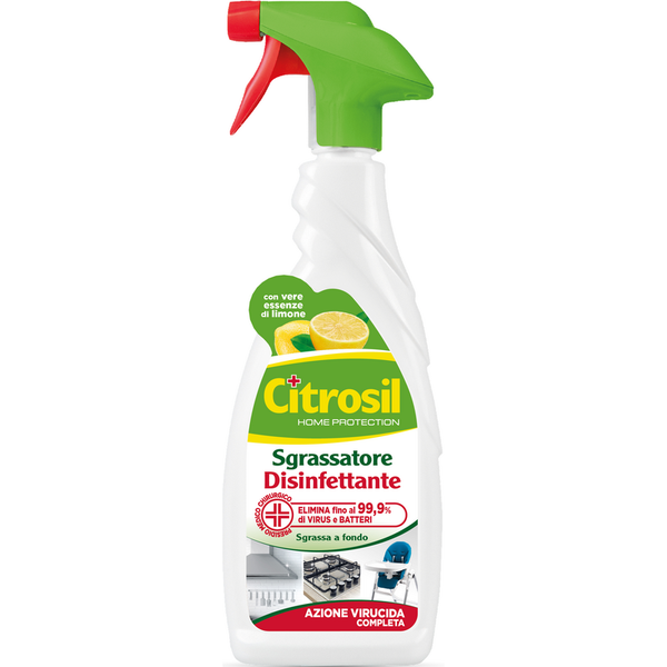 N28 002245 — Citrosil Disinf.Spray 650Ml Sgrass, confezione singola; vendita in cartone da 12 pezzi