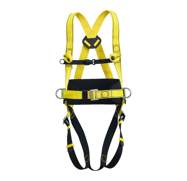 AIRPRO3 — Logica Professional