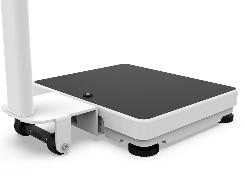 Pesapersone Digitale Professionale Wunder _b