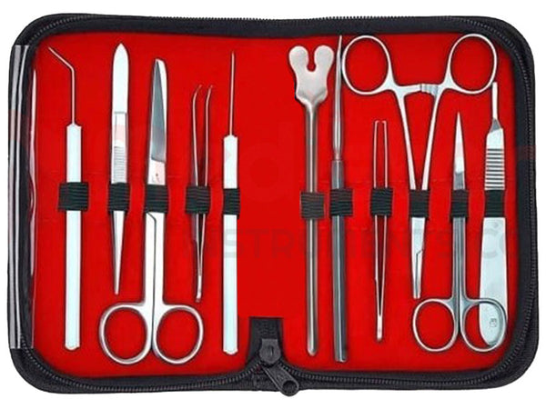 Kit Dissezione in Acciaio Inox Aisi 202 per Esercitazione 11 Pezzi