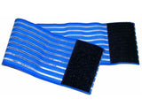 Fascia Elastica
