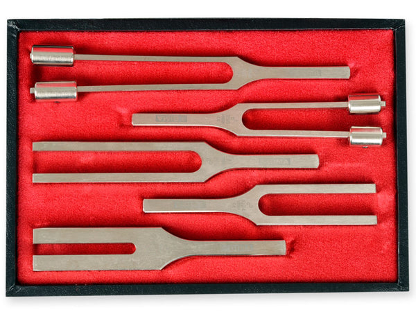 TROUSSE DIAPASON LEGA 5 pezzi
