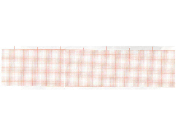Carta Termica Ecg 50X30 Mmxm - Conf. 20 pz.