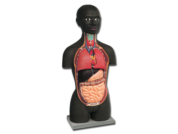MINI TORSO AFRICANO 16 parti
