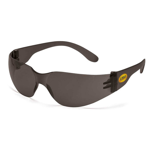 Occhiale di protezione Logica ECOVISION EN 166 - Lente fume
