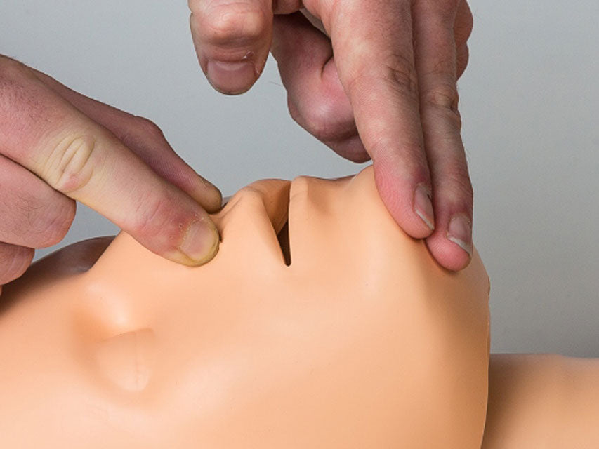 4 Manichini CPR Practi-Man Advance