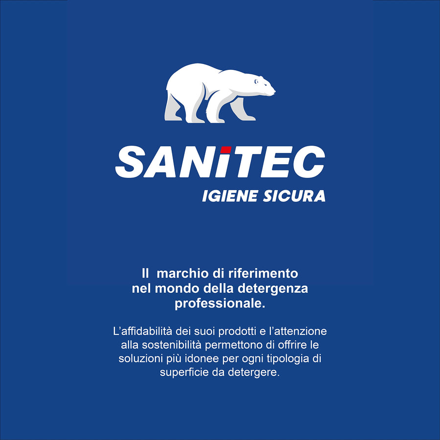 Sanitec 1240 Washup - Detergente Liquido Stoviglie Professionale - Tanica da 5L