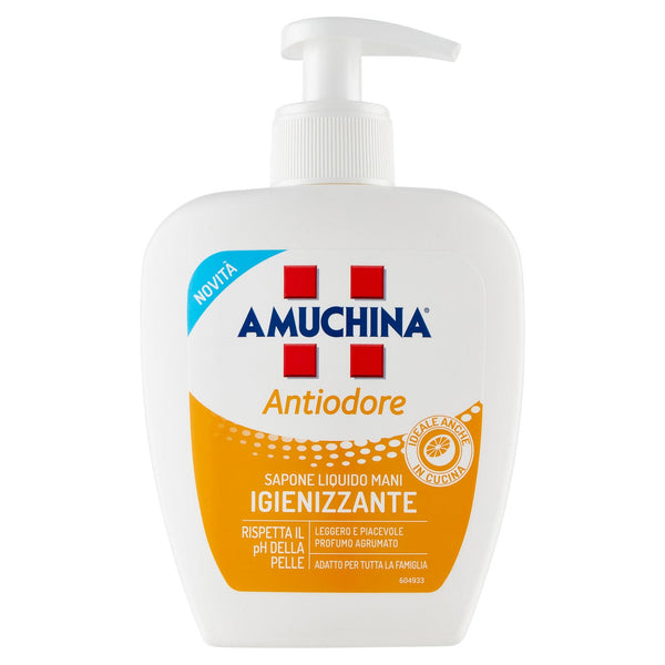 Amuchina Sap Liq