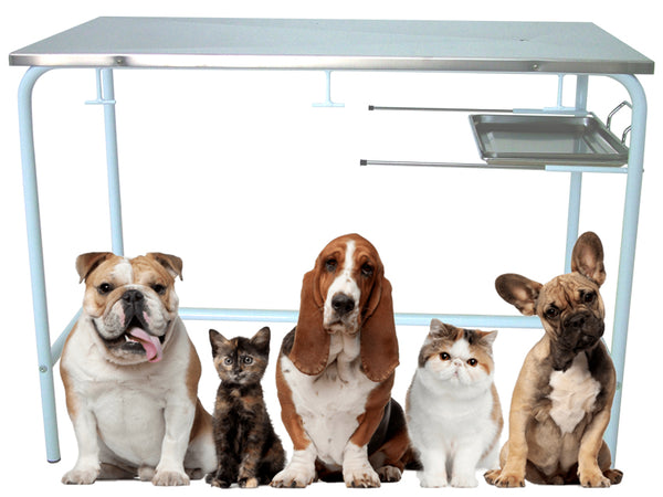 Tavolo Visita Veterinaria _a