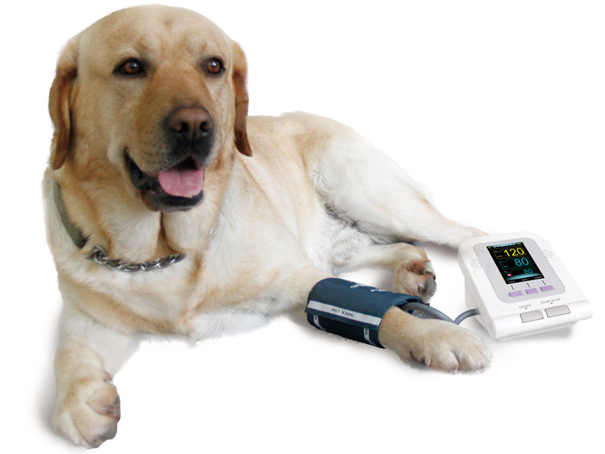 Misuratore Di Pressione Per Animali _b