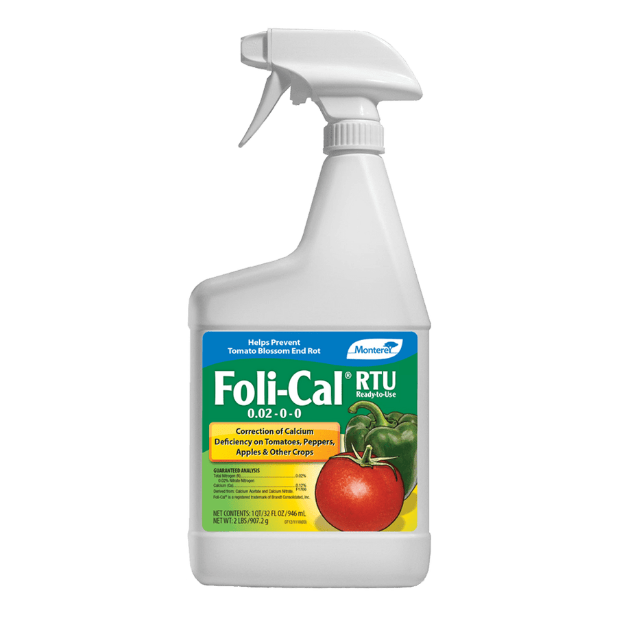 Foli' Per Fritti 30X