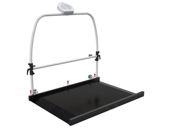 Bilancia a pedana digitale Wunder RW2.0 Move con corrimano e ruote, 300 kg - immagine 2