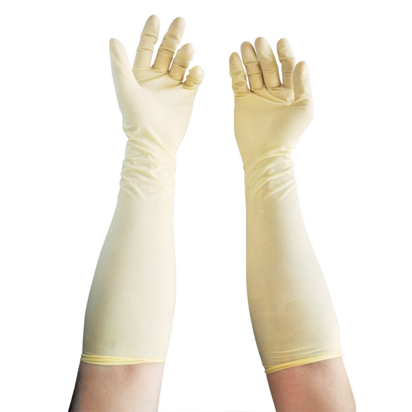 Gardening Surgicare Premier Guanto Chirurgico Ginecologia CHGYN - Cartone 100 paia