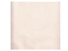 Carta Termica ECG 210x30 Mmxm - Rotolo Griglia Arancio - Conf. 5 pz.
