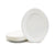 Piatti Compostabili Monouso Ovali in Polpa di Canna da Zucchero Р 100% Biodegradabili Р Vari Formati Р Gef Company (Grande: 31,7 x 25,2 cm (28 g))