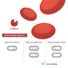 Test Ferritina – GEF Medica