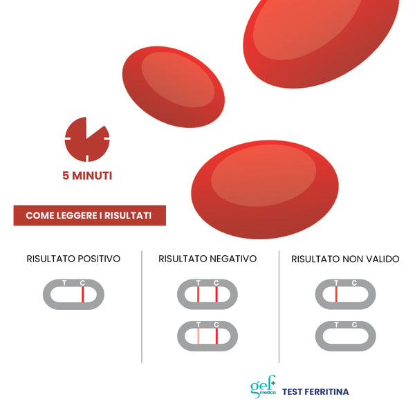 Test Ferritina – GEF Medica